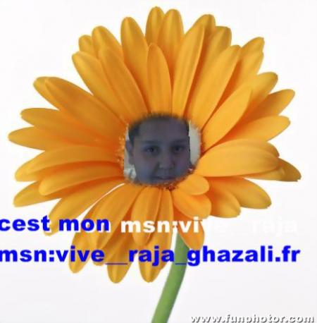 c moi